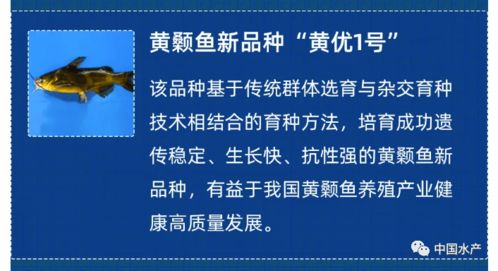 五项涉渔新材料技术入选2021中国农业农村重大新技术新产品新装备